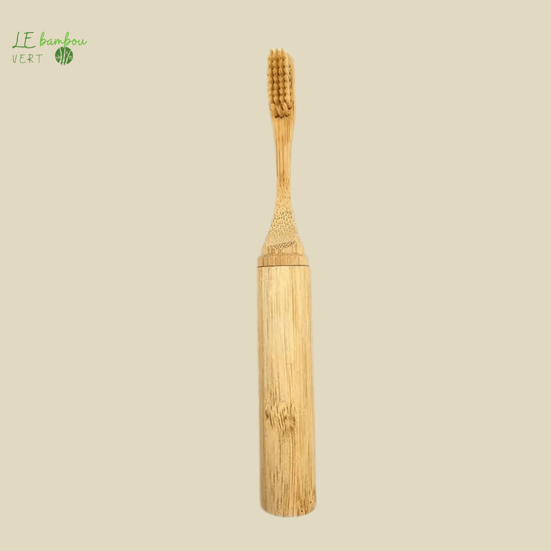Brosse à dents de Voyage Portable en Bambou beige le bambou vert
