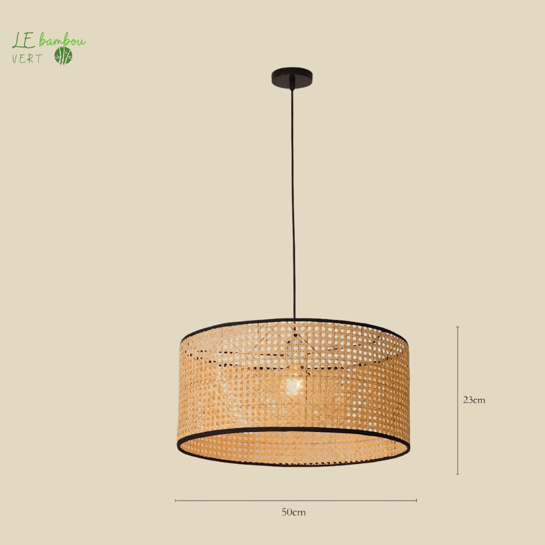 Lustre salon Bambou style Cercla 1005005530551030-A 50cmx23cm-Light bulb not inclu le bambou vert