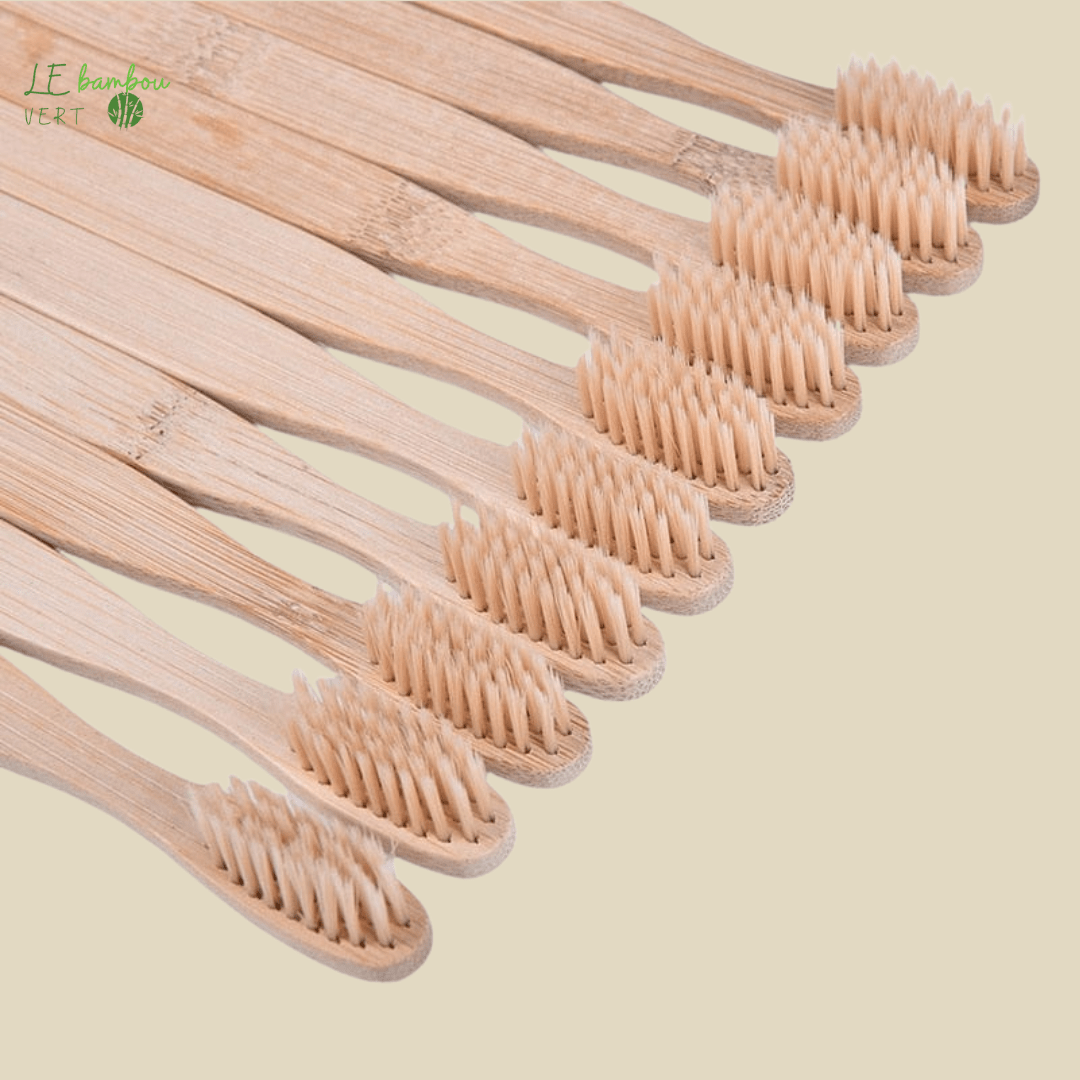 Brosse à dents en Bambou Naturel 10 pcs 1005005034458135 le bambou vert