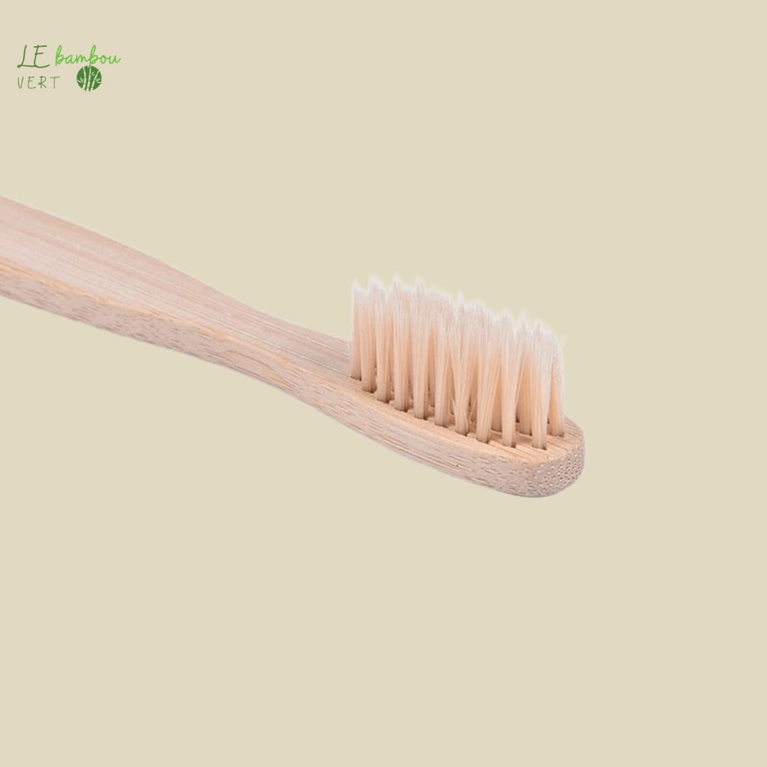 Brosse à dents en Bambou Naturel 10 pcs 1005005034458135 le bambou vert