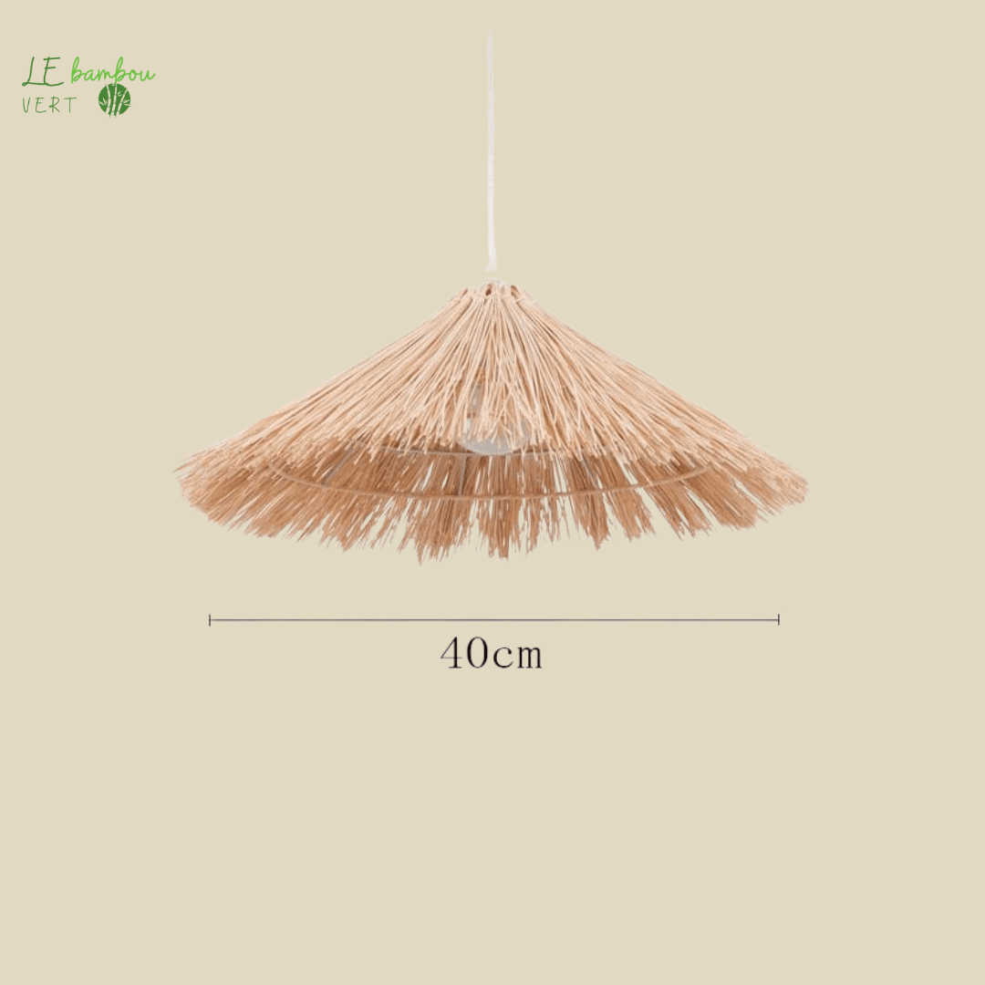 Suspension Bambou en Chapeau de Paille beige 1005004295843089-Straw Hat C-40CM-No Bulb le bambou vert