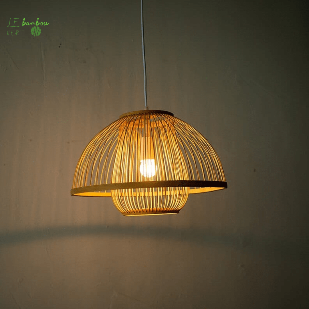 Suspension en Bambou Style Clavier 1005005203944429-No Bulb-40cm le bambou vert