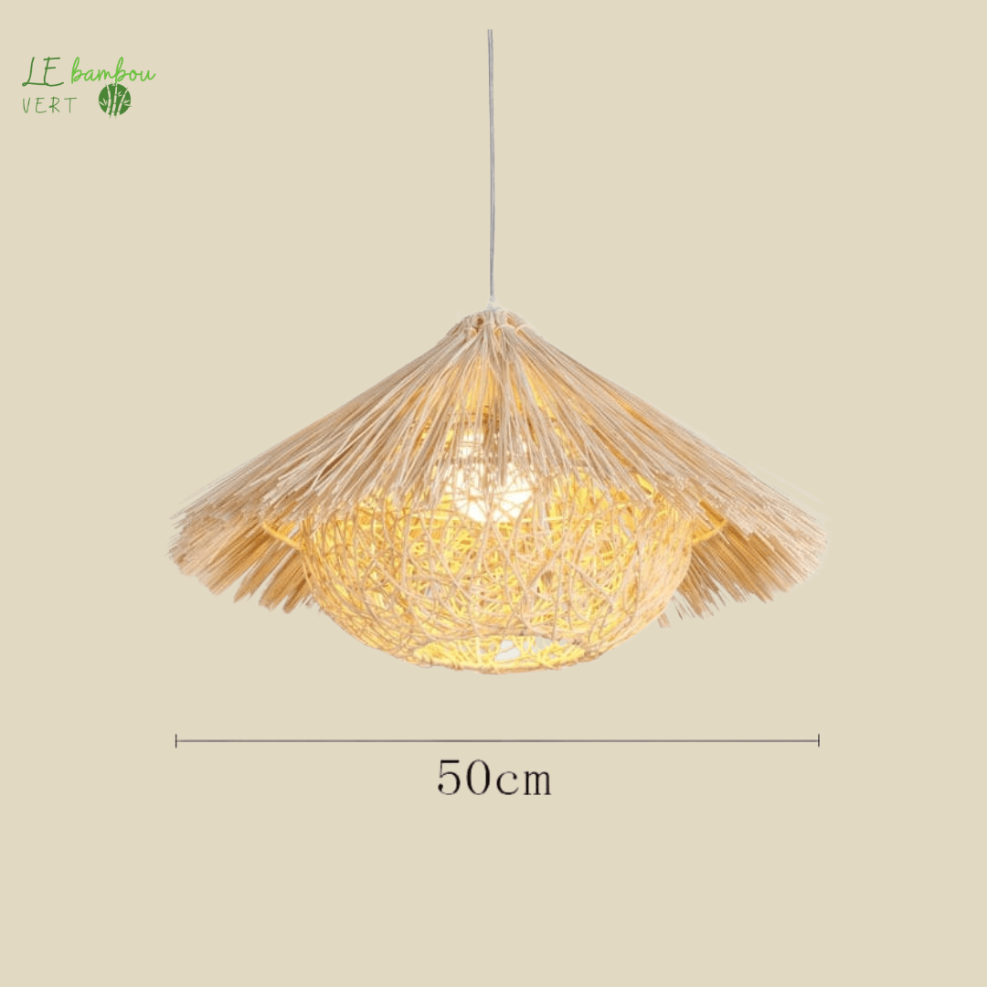 Plafonnier Bambou Style Lanterne de Paille 1005004295843089-Straw Hat A-50CM-No Bulb le bambou vert