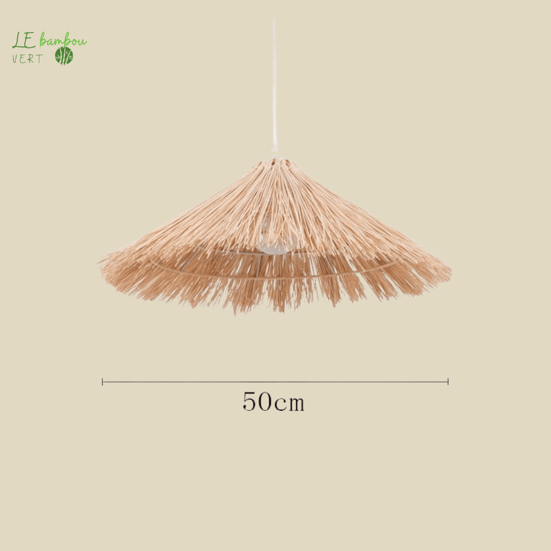 Suspension Bambou en Chapeau de Paille beige 1005004295843089-Straw Hat C-50CM-No Bulb le bambou vert