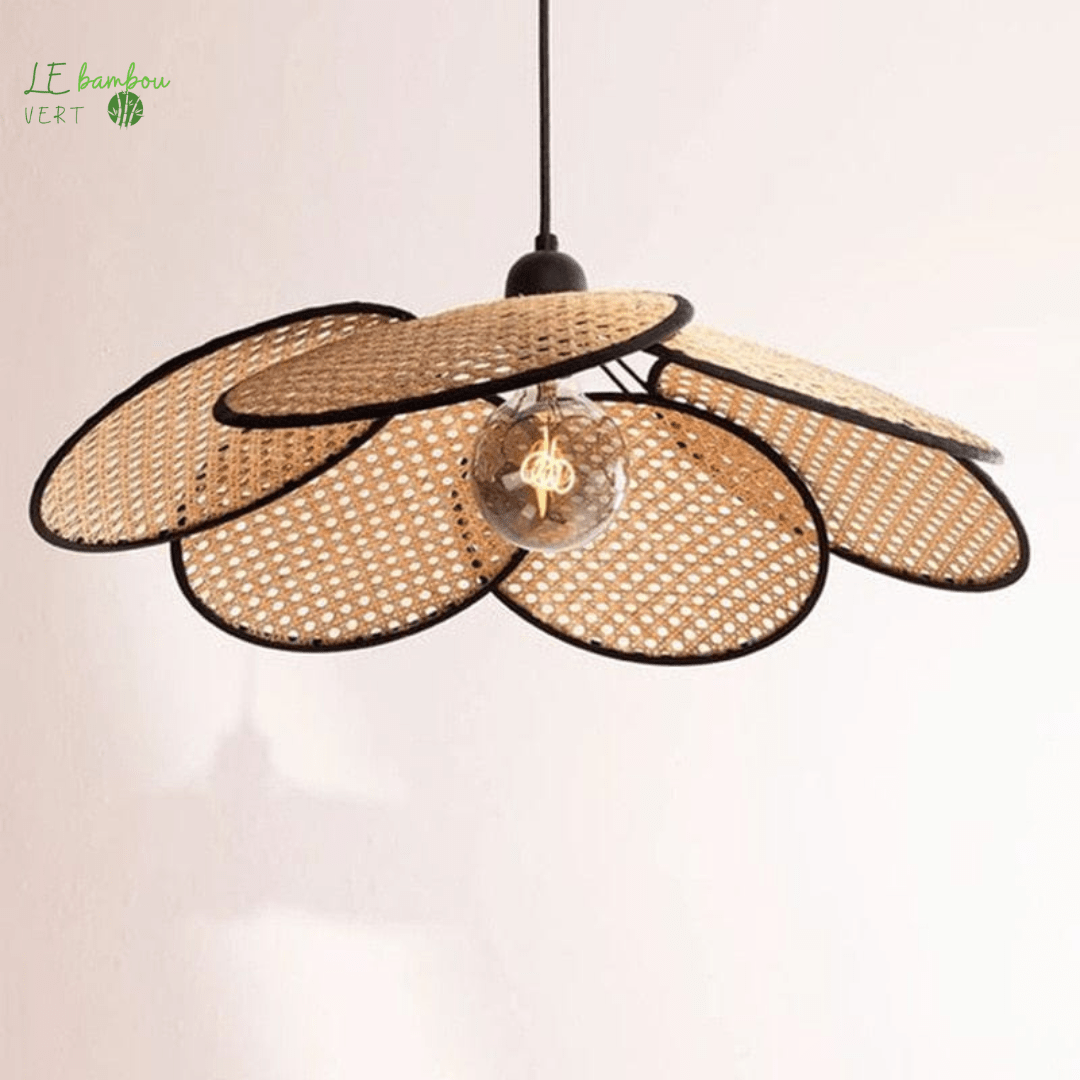 Lustre à Suspension en Bambou Creative Mode 1005003031188989-F LAMP 60cm-Warm White le bambou vert