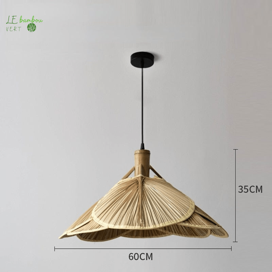 Suspension luminaire Bambou style feuillage 1005005426691158-Dia 60CM le bambou vert